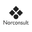 Company Norconsult
