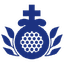 Sanjuandedios Org Ar