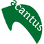 Acantus Nl