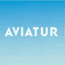 Company Aviatur