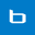 Company Bluegiga