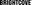 Company Brightcove
