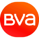 Company BVA