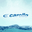 Company Carollo Engineers
