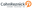 Company CohnReznick LLP