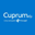 Company AFP Cuprum