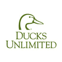 Company Ducks Unlimited