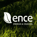 Company Ence - Energía y Celulosa