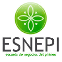 Company Esnepi