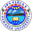 Company Hawassa University