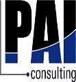 Company PAI Consulting