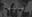 Company PeopleSearch