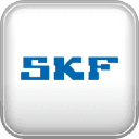 Company SKF Group