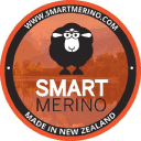 Company Smart Merino