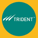 Company Trident Group India
