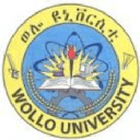 Company Wollo University
